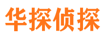 双桥市侦探调查公司